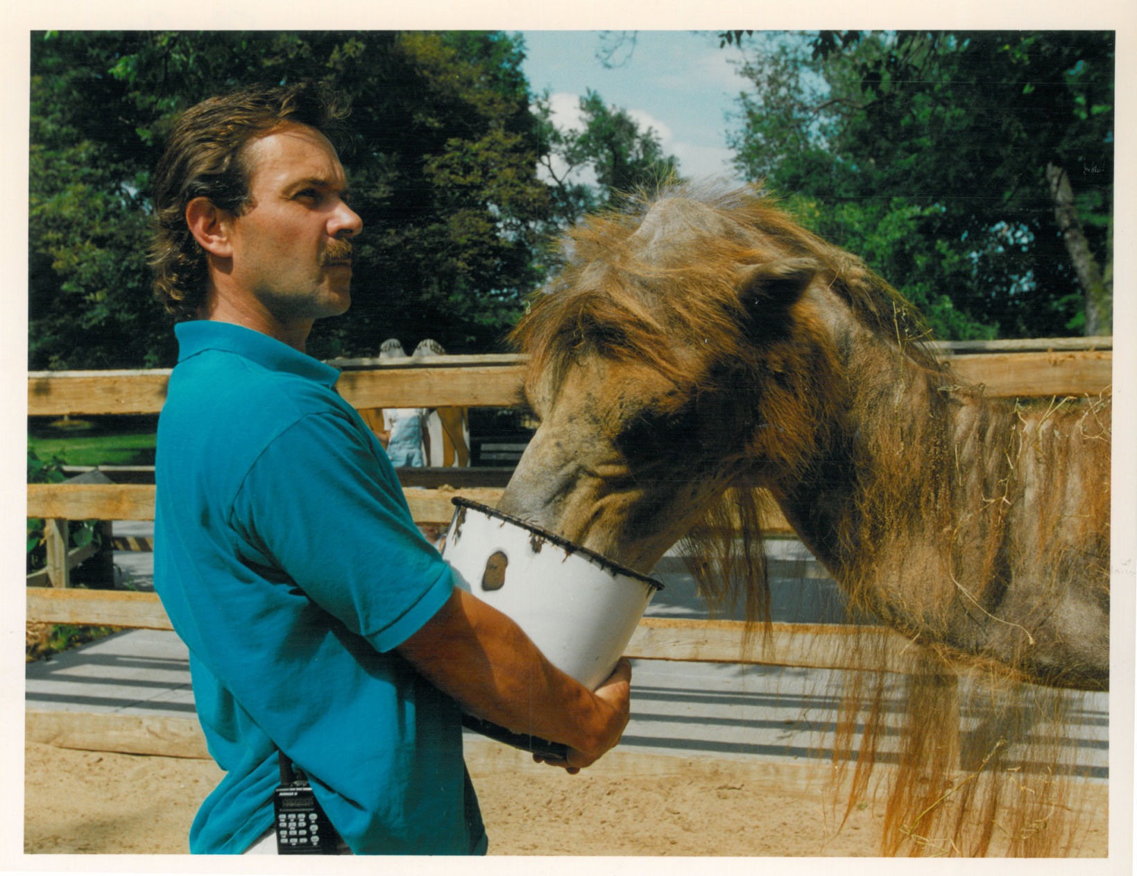 Lincoln Children's Zoo 50th Anniversary